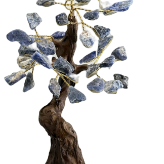 Bonsaï Sodalite qualité extra 19cm environ