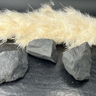 Shungite brute